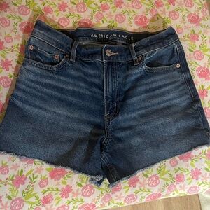 American Eagle Outfitters Indigo Jean Shorts